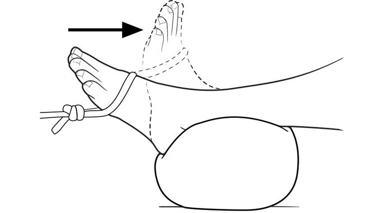 Foot flex with resistance (dorsiflexion resisted) width=