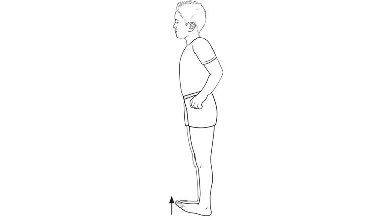 Standing toe raise
