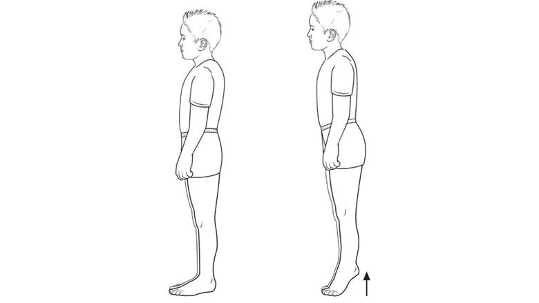 Standing heel raise