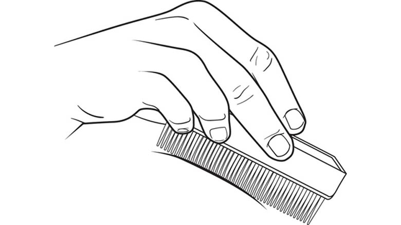 Brushing Therapy - Technique