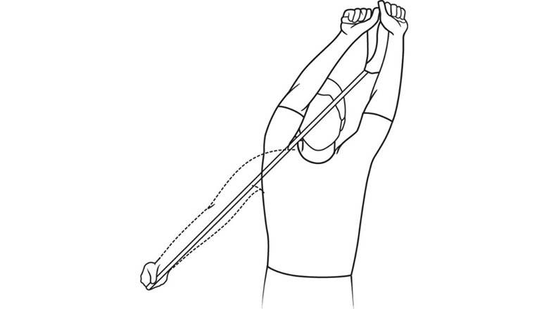 Strengthening: Upper Extremity Exercises with an Exercise Band - Should strengthening downward