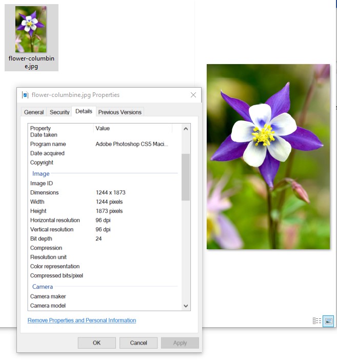 A screenshot of a computer Description automatically generated