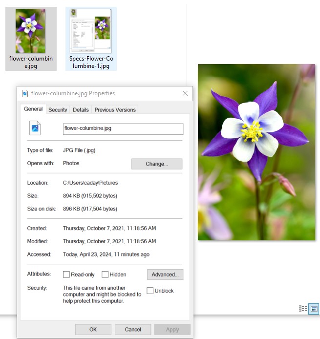A screenshot of a computer Description automatically generated