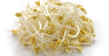 A pile of sprouts&#xD;&#xA;&#xD;&#xA;Description automatically generated