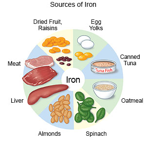 Sources of Iron