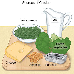 A diagram of food sources of calcium  Description automatically generated